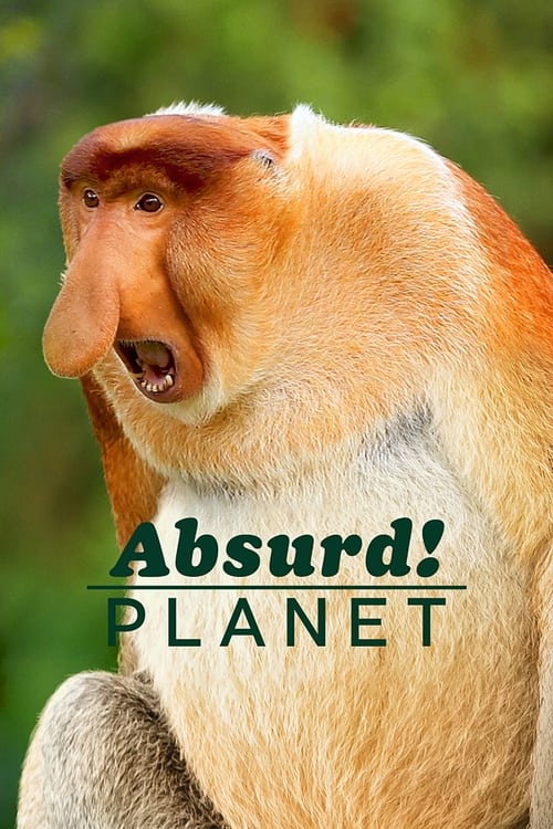 Absurd Planet : 1.Sezon 7.Bölüm