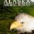 Alaska Animal Rescue : 1.Sezon 2.Bölüm izle