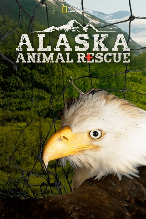 Alaska Animal Rescue : 1.Sezon 4.Bölüm