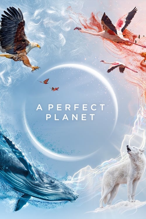 A Perfect Planet : 1.Sezon 5.Bölüm