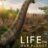 Life on Our Planet : 1.Sezon 3.Bölüm izle