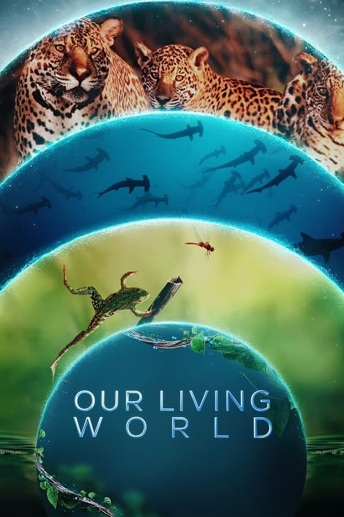 Our Living World : 1.Sezon 2.Bölüm