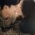 The Midnight Romance in Hagwon izle