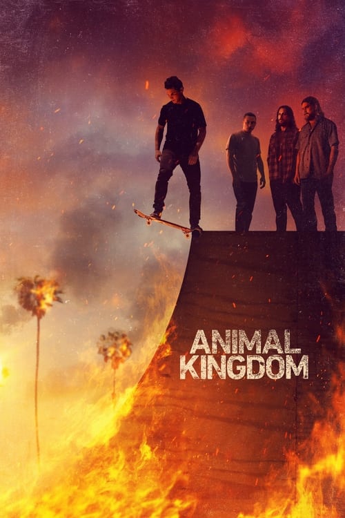 Animal Kingdom : 4.Sezon 9.Bölüm