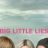 Big Little Lies : 1.Sezon 3.Bölüm izle